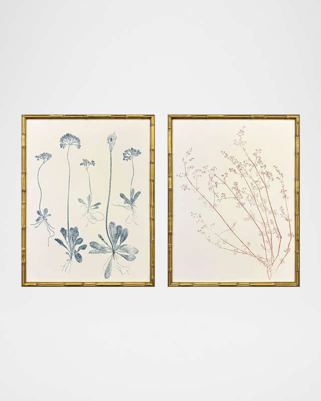 "Floral Trace III" Framed Giclees, Set of 2